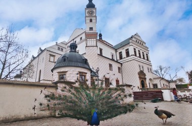 Zámek Pardubice_archiv DSVC